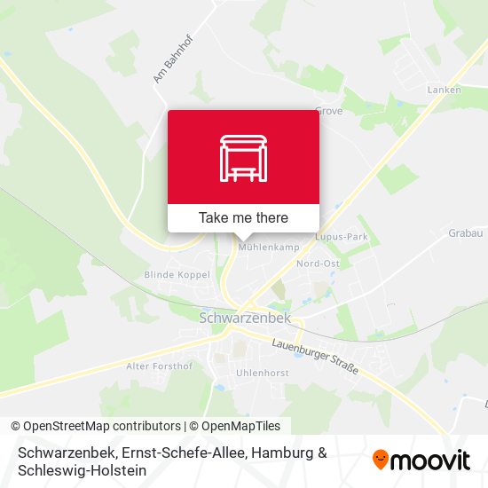 Schwarzenbek, Ernst-Schefe-Allee map
