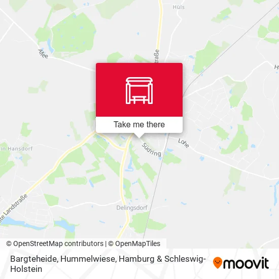 Карта Bargteheide, Hummelwiese
