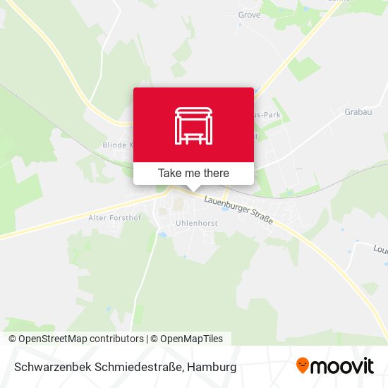 Schwarzenbek Schmiedestraße map