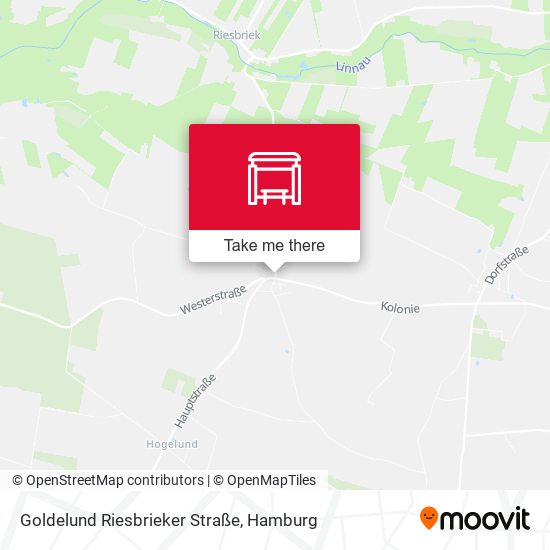 Goldelund Riesbrieker Straße map