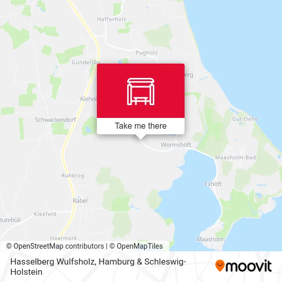 Карта Hasselberg Wulfsholz