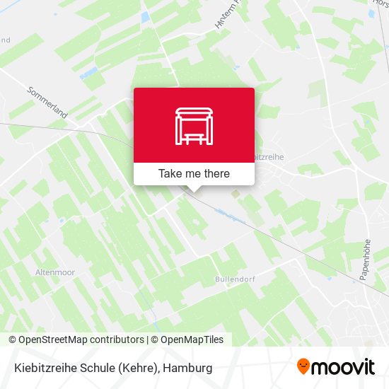 Kiebitzreihe Schule (Kehre) map