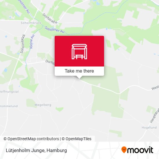 Lütjenholm Junge map