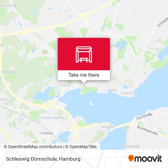 Schleswig Domschule map