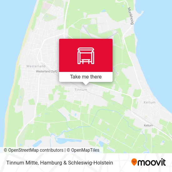 Карта Tinnum Mitte