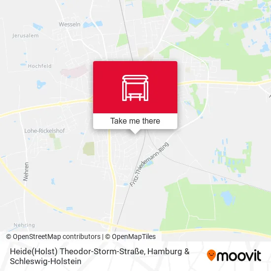 Карта Heide(Holst) Theodor-Storm-Straße
