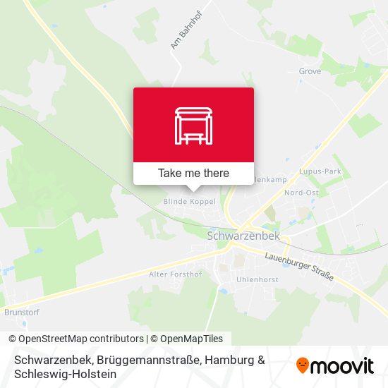 Schwarzenbek, Brüggemannstraße map