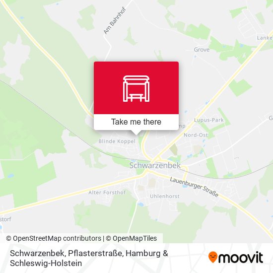 Schwarzenbek, Pflasterstraße map