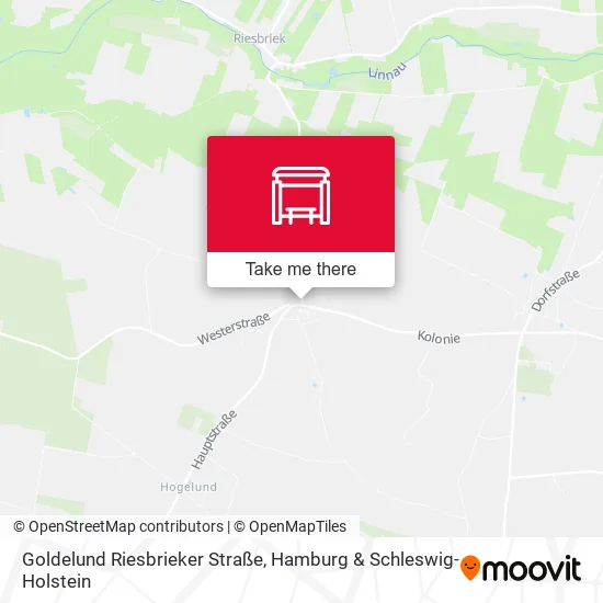 Карта Goldelund Riesbrieker Straße