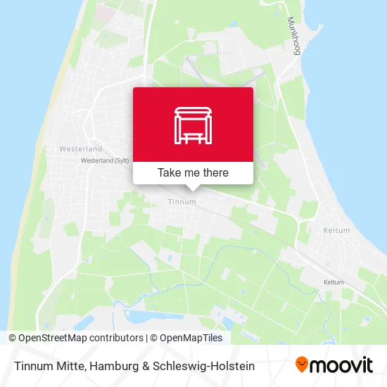 Карта Tinnum Mitte