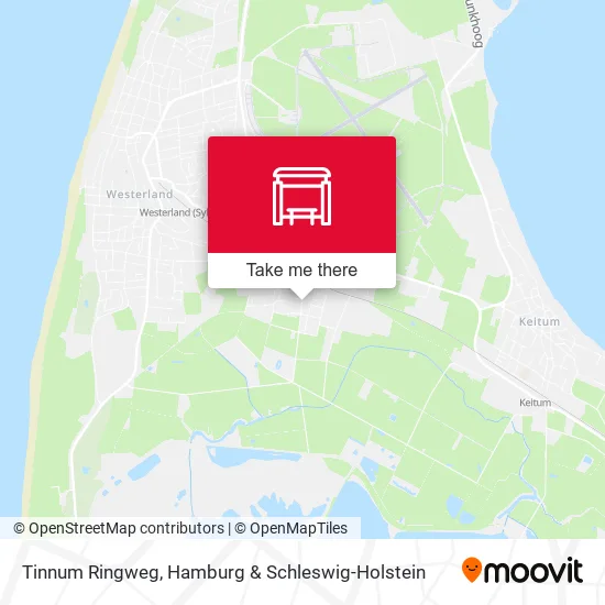 Карта Tinnum Ringweg