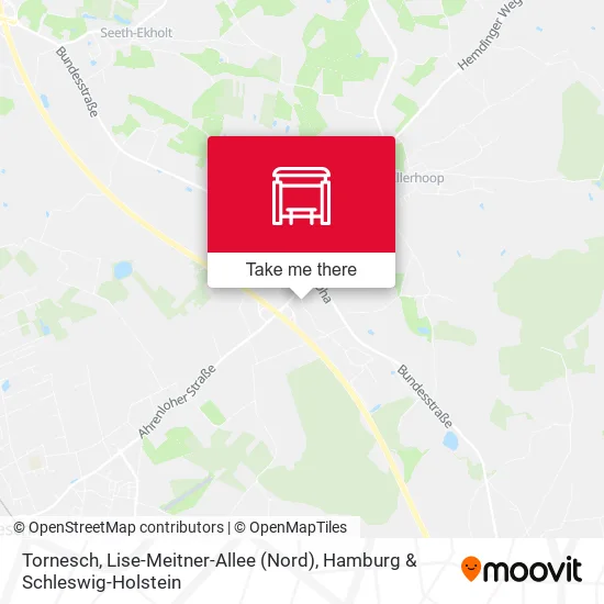 Карта Tornesch, Lise-Meitner-Allee (Nord)