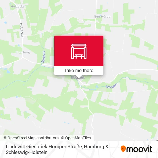 Карта Lindewitt-Riesbriek Höruper Straße