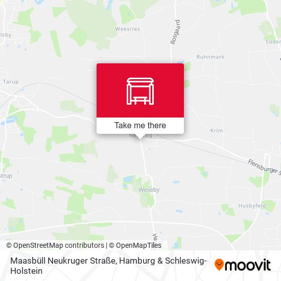 Maasbüll Neukruger Straße map