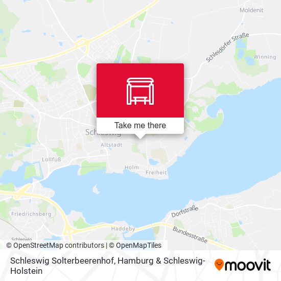 Schleswig Solterbeerenhof map