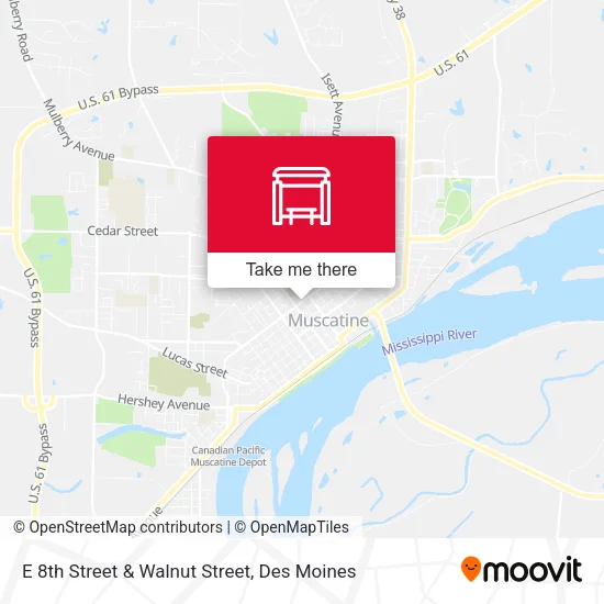 E 8th Street & Walnut Street map