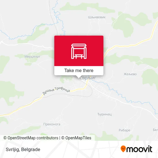 Svrljig map
