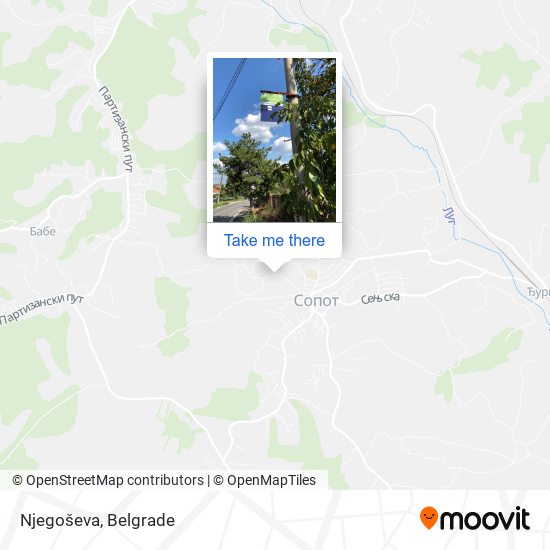 Njegoševa map