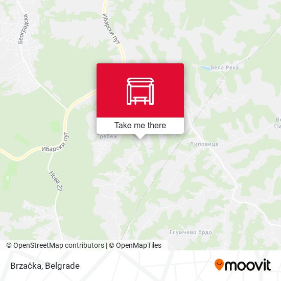 Brzačka map