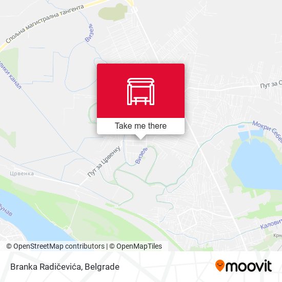 Branka Radičevića map