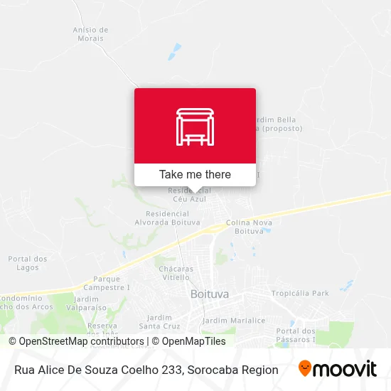 Rua Alice De Souza Coelho 233 map