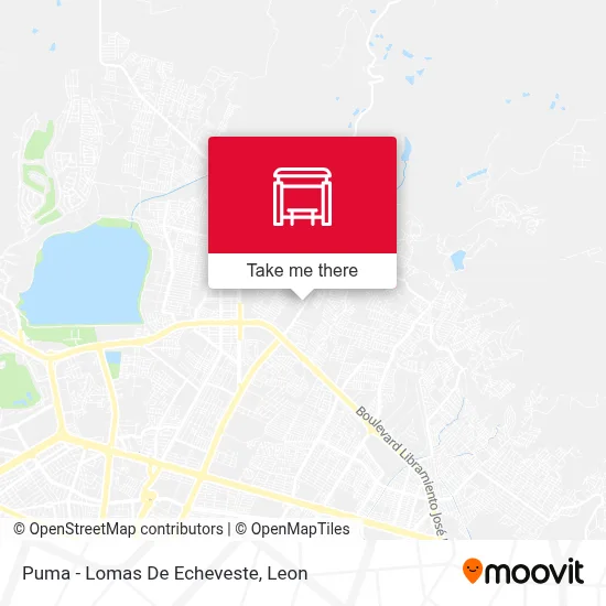 Puma - Lomas De Echeveste map