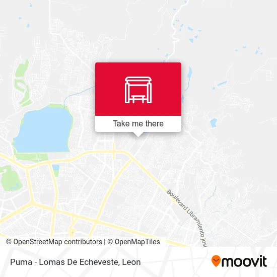 Puma - Lomas De Echeveste map
