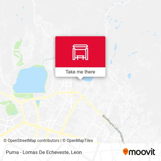 Puma - Lomas De Echeveste map