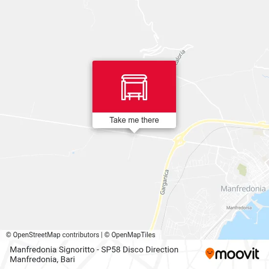 Manfredonia Signoritto - SP58 Disco Direction Manfredonia map
