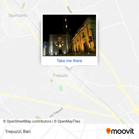 Trepuzzi map