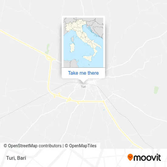 Turi map
