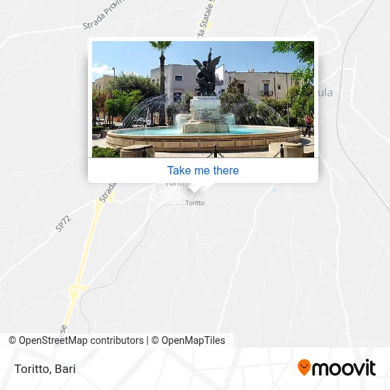 Toritto map