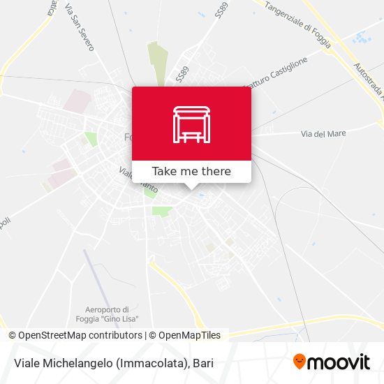 Viale Michelangelo (Immacolata) map