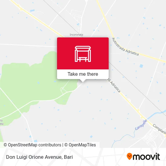 Don Luigi Orione Avenue map