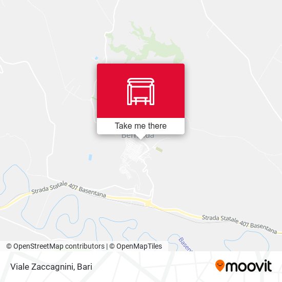 Viale Zaccagnini map