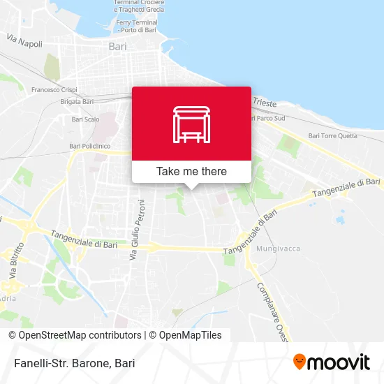 Fanelli-Baron Street map