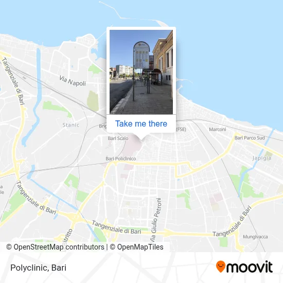 Polyclinic map