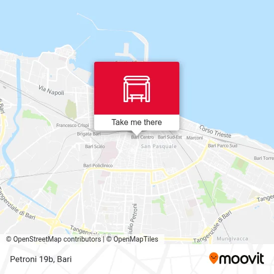 Petroni 19b map