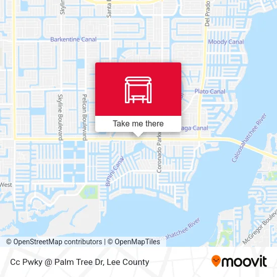 Mapa de Cc Pwky @ Palm Tree Dr