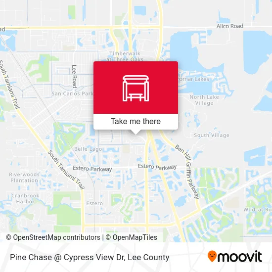 Mapa de Pine Chase @ Cypress View Dr