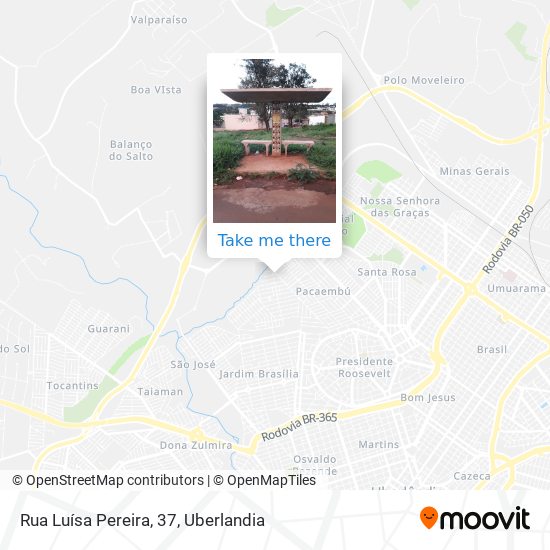 Rua Luísa Pereira, 37 map