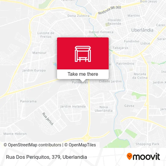 Rua Dos Periquitos, 379 map
