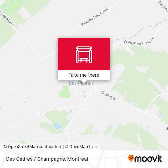 Des Cèdres / Champagne map