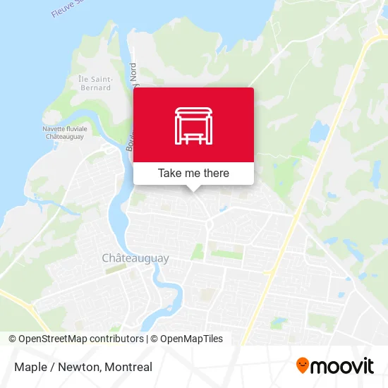 Maple / Newton map