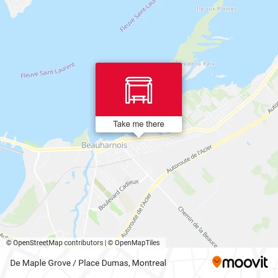 De Maple Grove / Place Dumas map