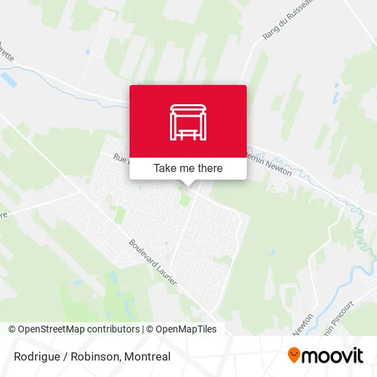 Rodrigue / Robinson map