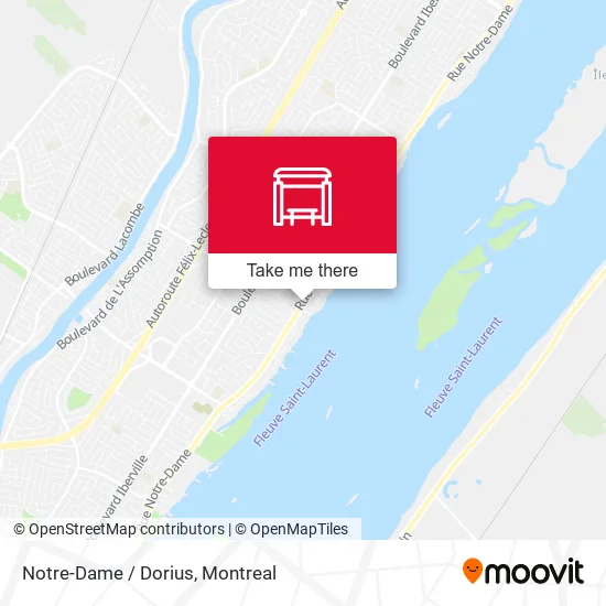Notre-Dame / Dorius map