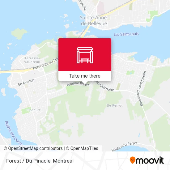 Forest / Du Pinacle map