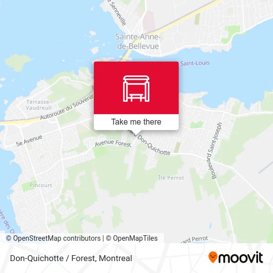 Don-Quichotte / Forest map