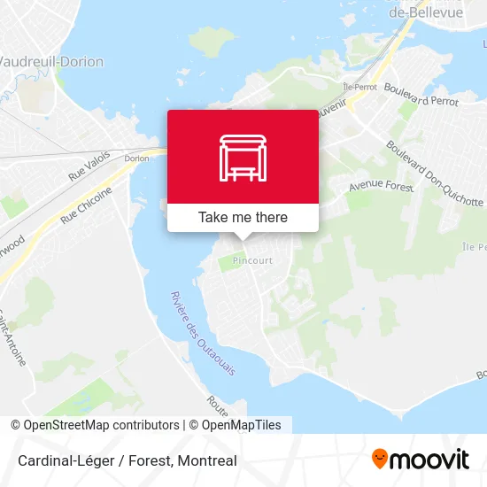 Cardinal-Léger / Forest map